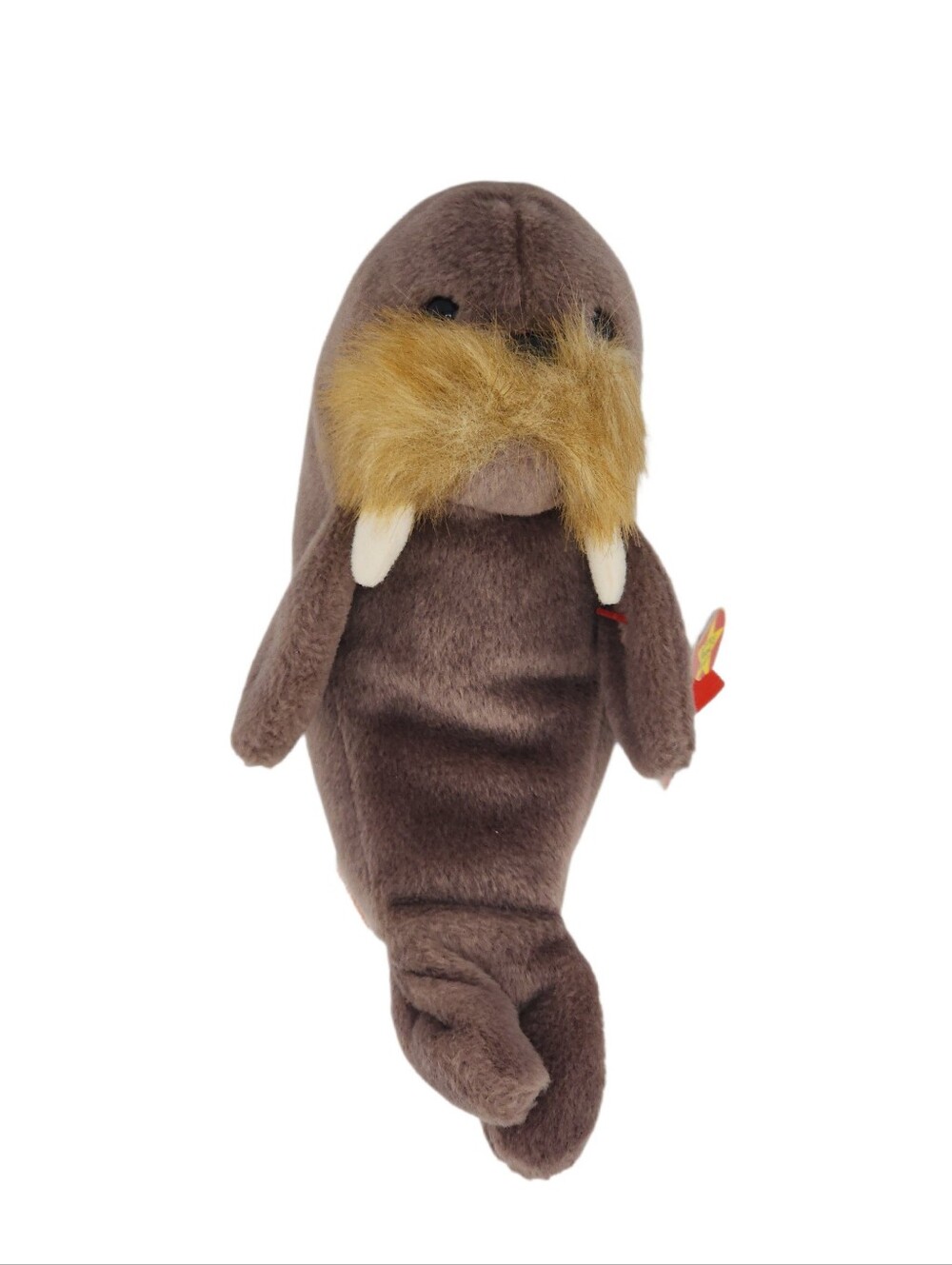 Ty Beanie Baby JOLLY The WALRUS - NWT
